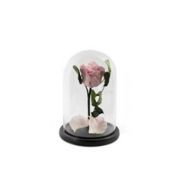 20EBB8D8-1A81-4943-8CDF-BB9938D04882