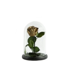 2EEC9385-E878-4D69-8D92-3A32487CA323