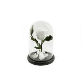 425061DF-CCCB-427C-8B4D-E353528C2293