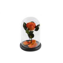 4B4C9EB3-C2D2-4C49-A3CE-505CB17C02C0