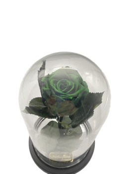 73DBC324-1A31-41AD-8A1D-A6423C7AFA95