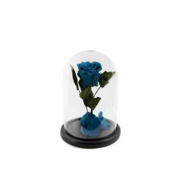 C27409ED-7093-4208-805C-B46ABE3B1135