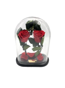 EC07CAD1-584B-4FFC-83E2-FA9573DB5CC5