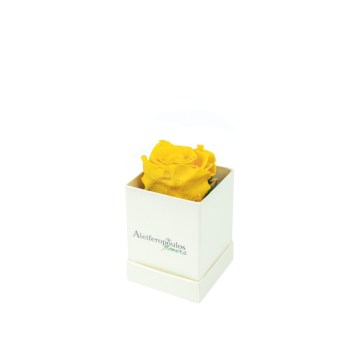 F0F7303D-C626-4C88-996C-7C8A1AA67878