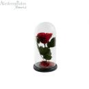  Forever Rose Heart Juiced In Glass Red Passion Heart Forever Rose