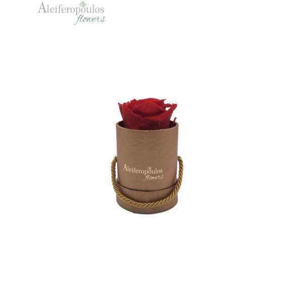 B6244448-4736-44C3-9A39-3F07CDEBC0C5.jpeg_1