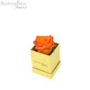  Juiced Forever Orange Rose In Gold Box Forever Rose