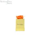  Juiced Forever Orange Rose In Gold Box Forever Rose