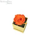  Juiced Forever Orange Rose In Gold Box Forever Rose