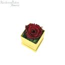  Dejuiced Forever Burgundy Rose In Gold Box Forever Rose