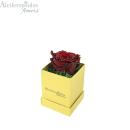  Dejuiced Forever Burgundy Rose In Gold Box Forever Rose