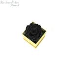 Αποχυμωμένο Παντοτινό Μαύρο Τριαντάφυλλο Σε Χρυσό Κουτί Forever Rose