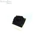 Αποχυμωμένο Παντοτινό Μαύρο Τριαντάφυλλο Σε Εκρού Κουτί Forever Rose