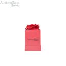 Αποχυμωμένο Παντοτινό Κόκκινο Τριαντάφυλλο Σε Κόκκινο Κουτί Forever Rose