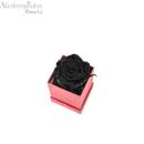 Αποχυμωμένο Παντοτινό Μαύρο Τριαντάφυλλο Σε Κόκκινο Κουτί Forever Rose 