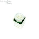  Dejuiced Forever White Rose In Ecru Box Forever Rose