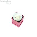 Αποχυμωμένο Παντοτινό Λευκό Τριαντάφυλλο Σε Κόκκινο Κουτί Forever Rose 